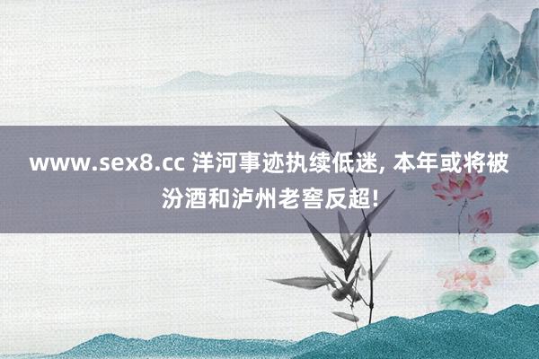 www.sex8.cc 洋河事迹执续低迷， 本年或将被汾酒和泸州老窖反超!