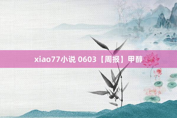 xiao77小说 0603【周报】甲醇