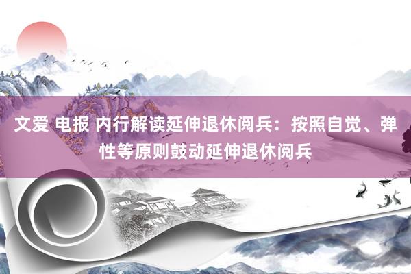 文爱 电报 内行解读延伸退休阅兵：按照自觉、弹性等原则鼓动延伸退休阅兵