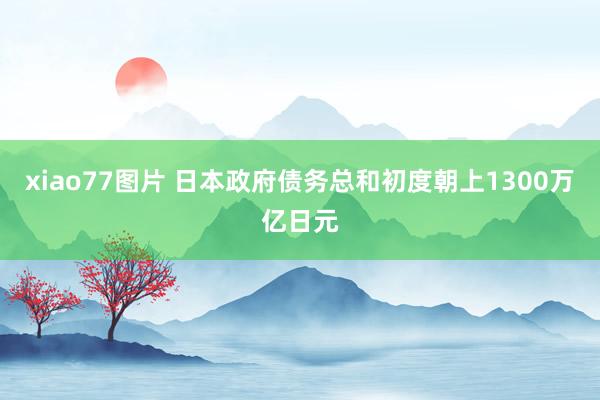 xiao77图片 日本政府债务总和初度朝上1300万亿日元