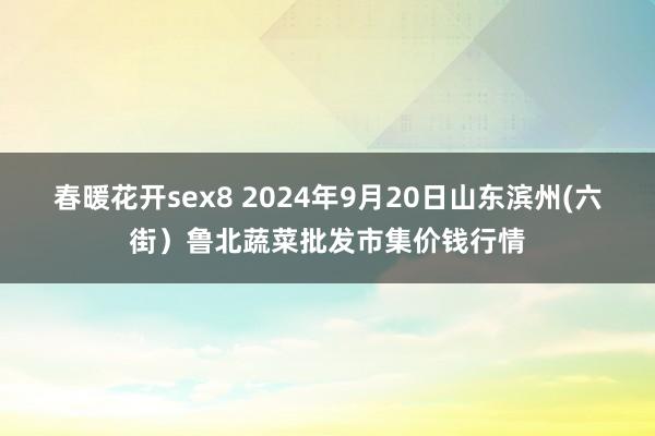 春暖花开sex8 2024年9月20日山东滨州(六街）鲁北蔬菜批发市集价钱行情