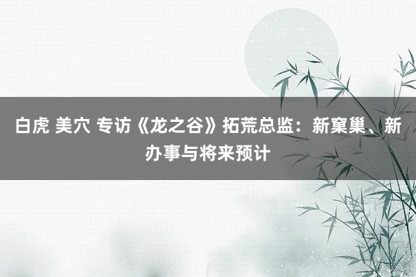 白虎 美穴 专访《龙之谷》拓荒总监：新窠巢、新办事与将来预计