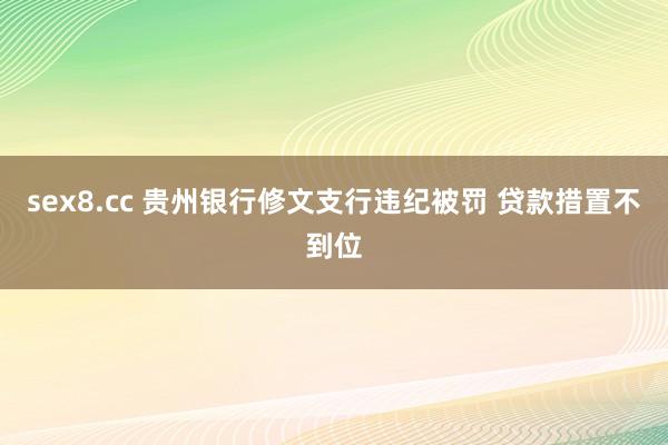 sex8.cc 贵州银行修文支行违纪被罚 贷款措置不到位