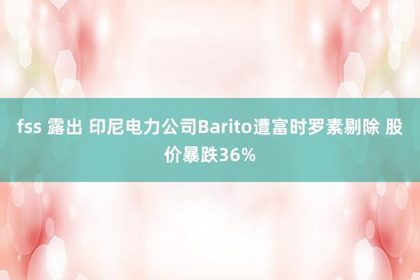 fss 露出 印尼电力公司Barito遭富时罗素剔除 股价暴跌36%