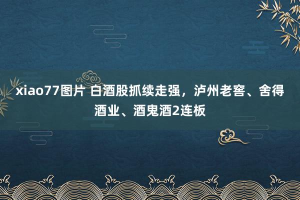 xiao77图片 白酒股抓续走强，泸州老窖、舍得酒业、酒鬼酒2连板