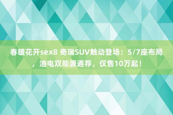 春暖花开sex8 奇瑞SUV触动登场：5/7座布局，油电双能源遴荐，仅售10万起！