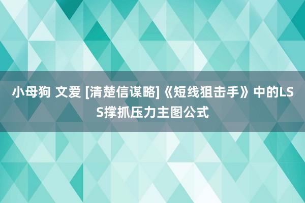 小母狗 文爱 [清楚信谋略]《短线狙击手》中的LSS撑抓压力主图公式