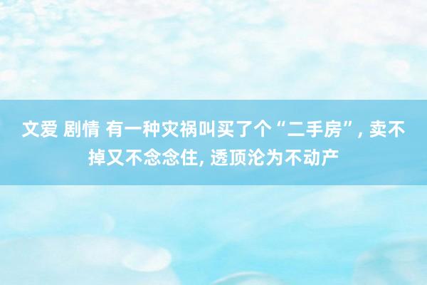 文爱 剧情 有一种灾祸叫买了个“二手房”， 卖不掉又不念念住， 透顶沦为不动产