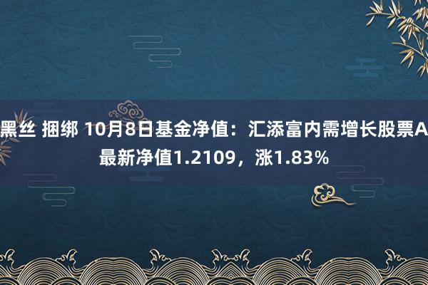 黑丝 捆绑 10月8日基金净值：汇添富内需增长股票A最新净值1.2109，涨1.83%