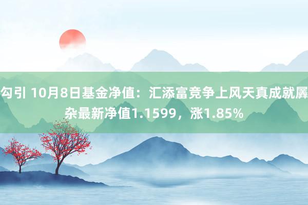 勾引 10月8日基金净值：汇添富竞争上风天真成就羼杂最新净值1.1599，涨1.85%