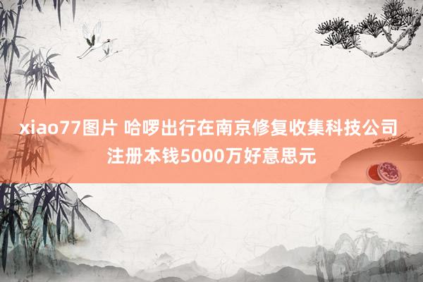 xiao77图片 哈啰出行在南京修复收集科技公司 注册本钱5000万好意思元