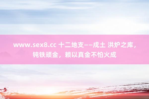 www.sex8.cc 十二地支——戌土 洪炉之库，钝铁顽金，赖以真金不怕火成