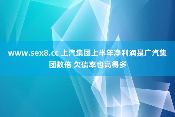 www.sex8.cc 上汽集团上半年净利润是广汽集团数倍 欠债率也高得多