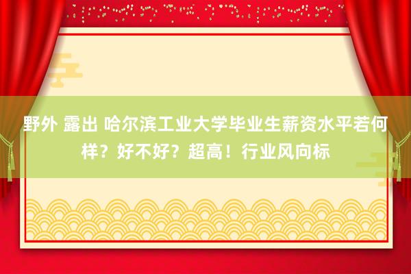 野外 露出 哈尔滨工业大学毕业生薪资水平若何样？好不好？超高！行业风向标