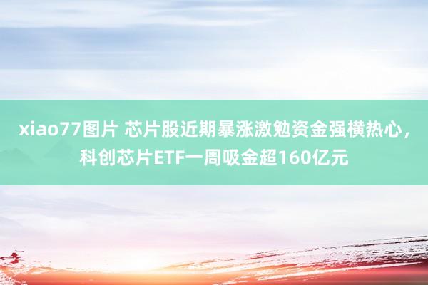 xiao77图片 芯片股近期暴涨激勉资金强横热心，科创芯片ETF一周吸金超160亿元