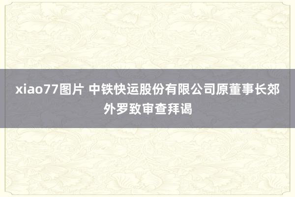 xiao77图片 中铁快运股份有限公司原董事长郊外罗致审查拜谒