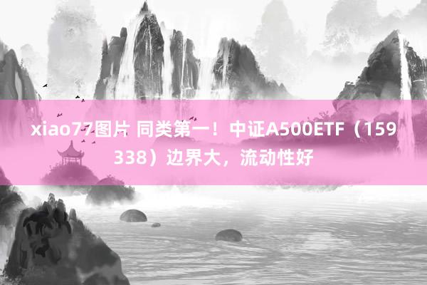 xiao77图片 同类第一！中证A500ETF（159338）边界大，流动性好