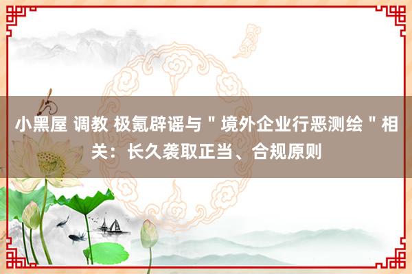 小黑屋 调教 极氪辟谣与＂境外企业行恶测绘＂相关：长久袭取正当、合规原则