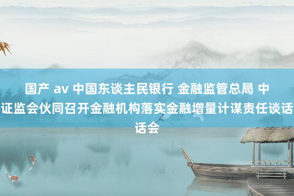 国产 av 中国东谈主民银行 金融监管总局 中国证监会伙同召开金融机构落实金融增量计谋责任谈话会