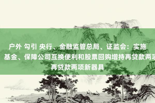 户外 勾引 央行、金融监管总局、证监会：实施好证券、基金、保障公司互换便利和股票回购增持再贷款两项新器具