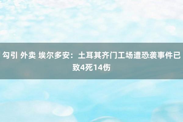 勾引 外卖 埃尔多安：土耳其齐门工场遭恐袭事件已致4死14伤