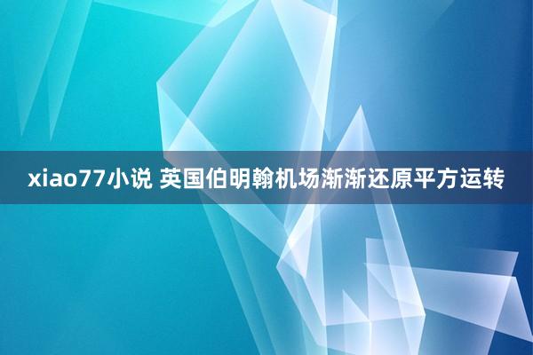 xiao77小说 英国伯明翰机场渐渐还原平方运转