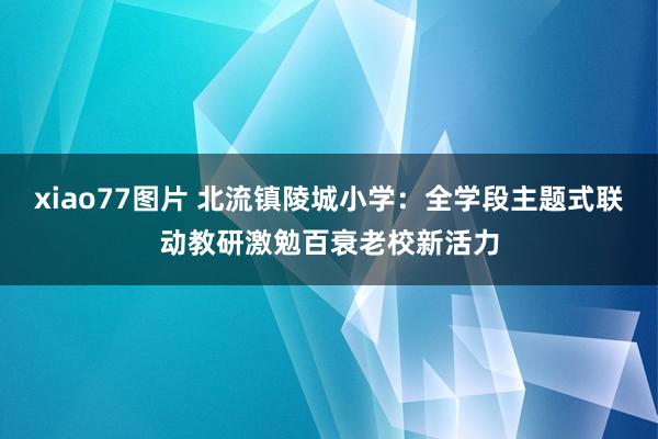 xiao77图片 北流镇陵城小学：全学段主题式联动教研激勉百衰老校新活力