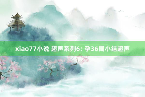 xiao77小说 超声系列6: 孕36周小结超声