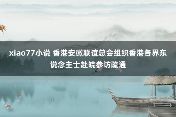 xiao77小说 香港安徽联谊总会组织香港各界东说念主士赴皖参访疏通