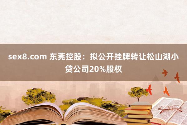 sex8.com 东莞控股：拟公开挂牌转让松山湖小贷公司20%股权