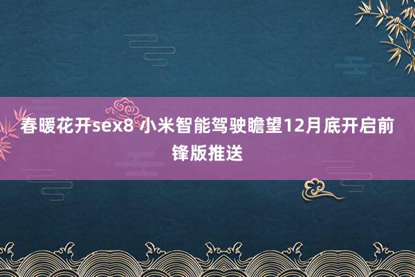 春暖花开sex8 小米智能驾驶瞻望12月底开启前锋版推送