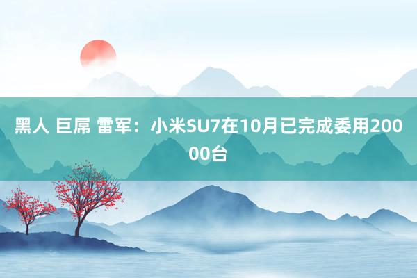 黑人 巨屌 雷军：小米SU7在10月已完成委用20000台