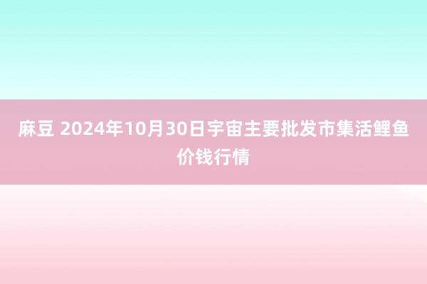 麻豆 2024年10月30日宇宙主要批发市集活鲤鱼价钱行情