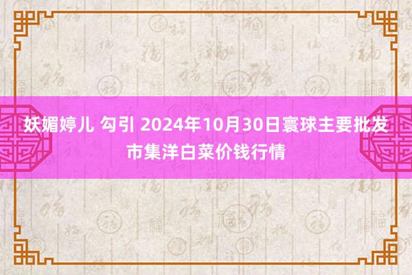 妖媚婷儿 勾引 2024年10月30日寰球主要批发市集洋白菜价钱行情