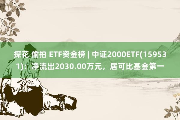 探花 偷拍 ETF资金榜 | 中证2000ETF(159531)：净流出2030.00万元，居可比基金第一