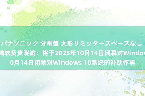 パナソニック 分電盤 大形リミッタースペースなし 露出・半埋込両用形 微软负责晓谕：将于2025年10月14日闭幕对Windows 10系统的补助作事