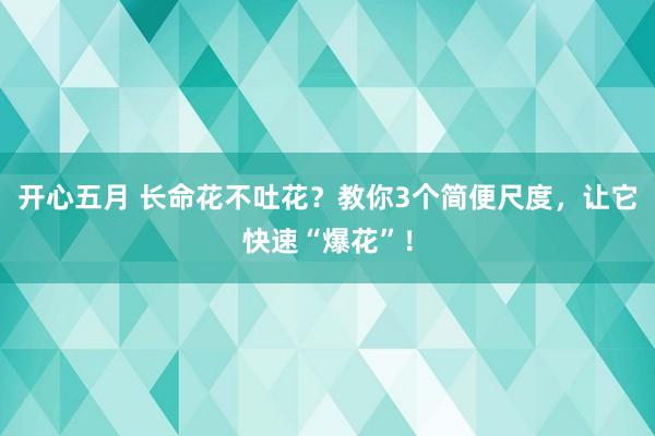 开心五月 长命花不吐花？教你3个简便尺度，让它快速“爆花”！