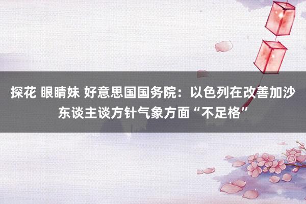 探花 眼睛妹 好意思国国务院：以色列在改善加沙东谈主谈方针气象方面“不足格”