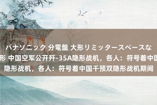 パナソニック 分電盤 大形リミッタースペースなし 露出・半埋込両用形 中国空军公开歼-35A隐形战机，各人：符号着中国干预双隐形战机期间