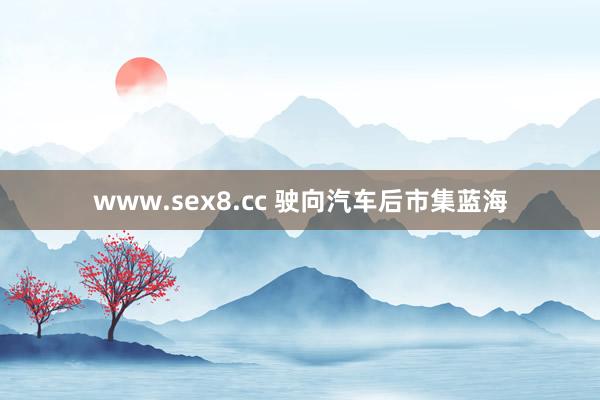 www.sex8.cc 驶向汽车后市集蓝海