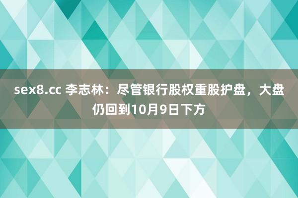 sex8.cc 李志林：尽管银行股权重股护盘，大盘仍回到10月9日下方