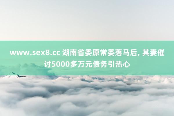 www.sex8.cc 湖南省委原常委落马后， 其妻催讨5000多万元债务引热心