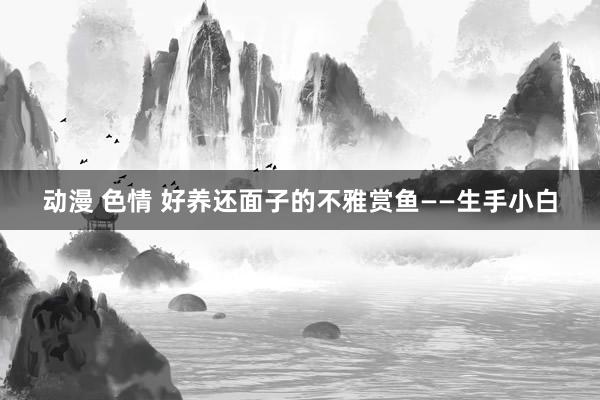 动漫 色情 好养还面子的不雅赏鱼——生手小白