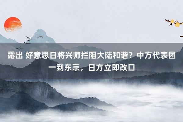 露出 好意思日将兴师拦阻大陆和谐？中方代表团一到东京，日方立即改口