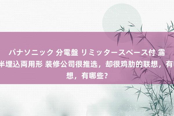 パナソニック 分電盤 リミッタースペース付 露出・半埋込両用形 装修公司很推选，却很鸡肋的联想，有哪些？