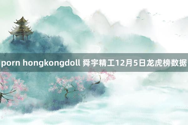 porn hongkongdoll 舜宇精工12月5日龙虎榜数据