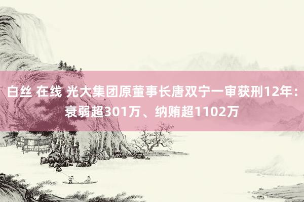 白丝 在线 光大集团原董事长唐双宁一审获刑12年：衰弱超301万、纳贿超1102万