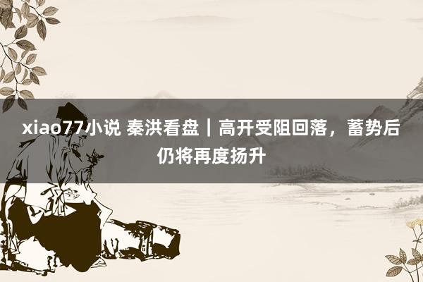 xiao77小说 秦洪看盘｜高开受阻回落，蓄势后仍将再度扬升