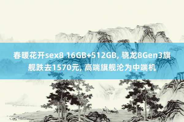 春暖花开sex8 16GB+512GB， 骁龙8Gen3旗舰跌去1570元， 高端旗舰沦为中端机