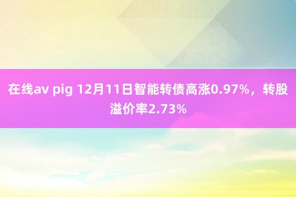 在线av pig 12月11日智能转债高涨0.97%，转股溢价率2.73%